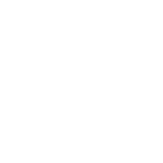 Det Kgl Teater_white